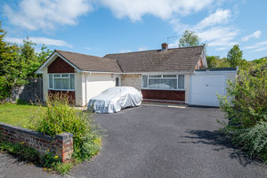 Celandine Avenue